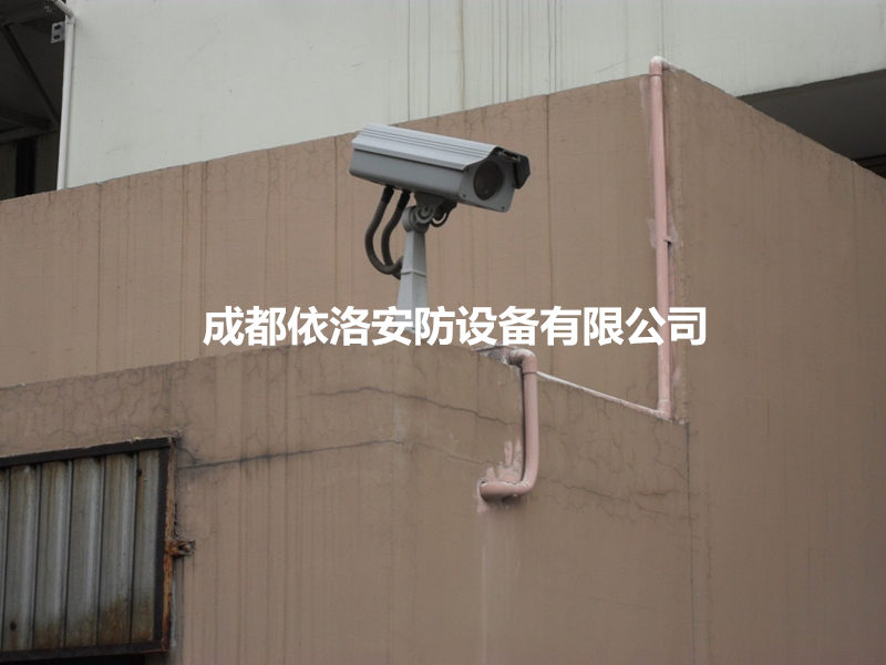 &#66;&#20307;&#32946;